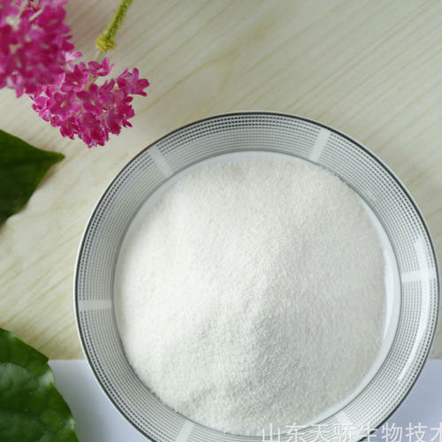 耐酸型专用植脂末